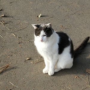 Meet your Posher, Karina